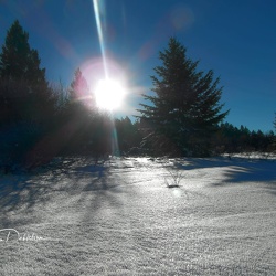 Photos from 2013